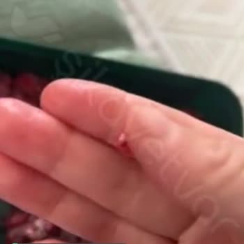 Lavi Juice Frambuazdan Karıncalar Çıktı