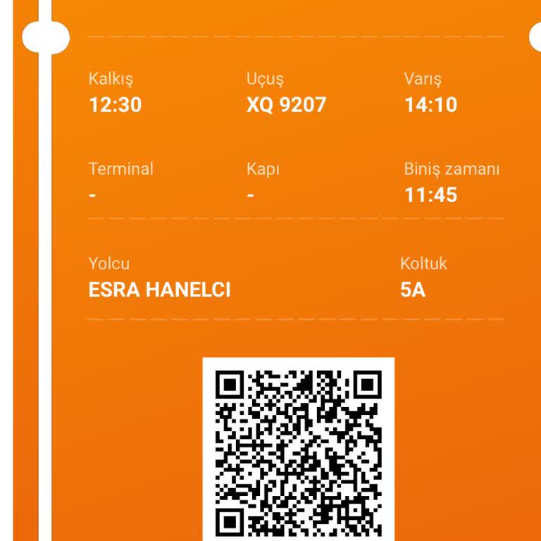 Sunexpress İptali Yüzünden Kaçırılan Eğitim Fırsatı