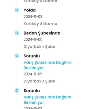 Kargo Teslim Edilmedi, İade Süreci Tıkanıklığı