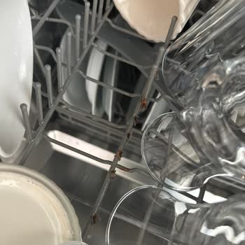 Samsung Bulaşık Makinesi Sorunu Ve Müşteri Hizmetleri İlgisizliği