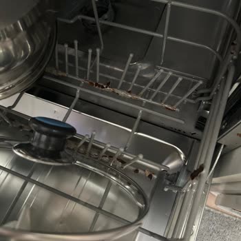 Samsung Bulaşık Makinesi Sorunu Ve Müşteri Hizmetleri İlgisizliği