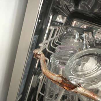 Samsung Bulaşık Makinesi Sorunu Ve Müşteri Hizmetleri İlgisizliği