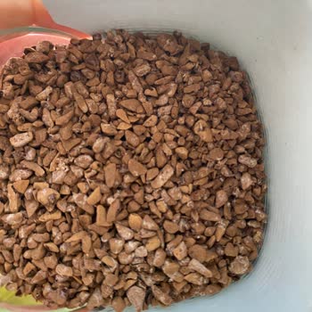 Nescafe Kahvem Küflendi, Param Çöp Oldu!