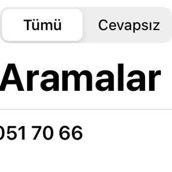 Bilinmeyen Aramalarla Yapay Zeka Kötüye Kullanımı Endişesi