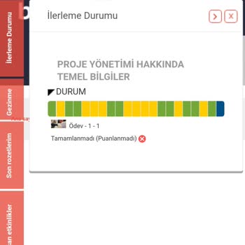 Bilgeiş Portalı Sertifika Değerlendirme Sorunu