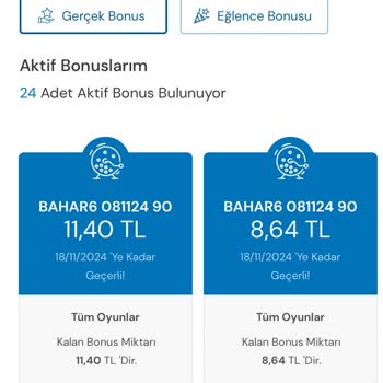 Milli Piyango Kampanyasındaki Bonus Sorunu