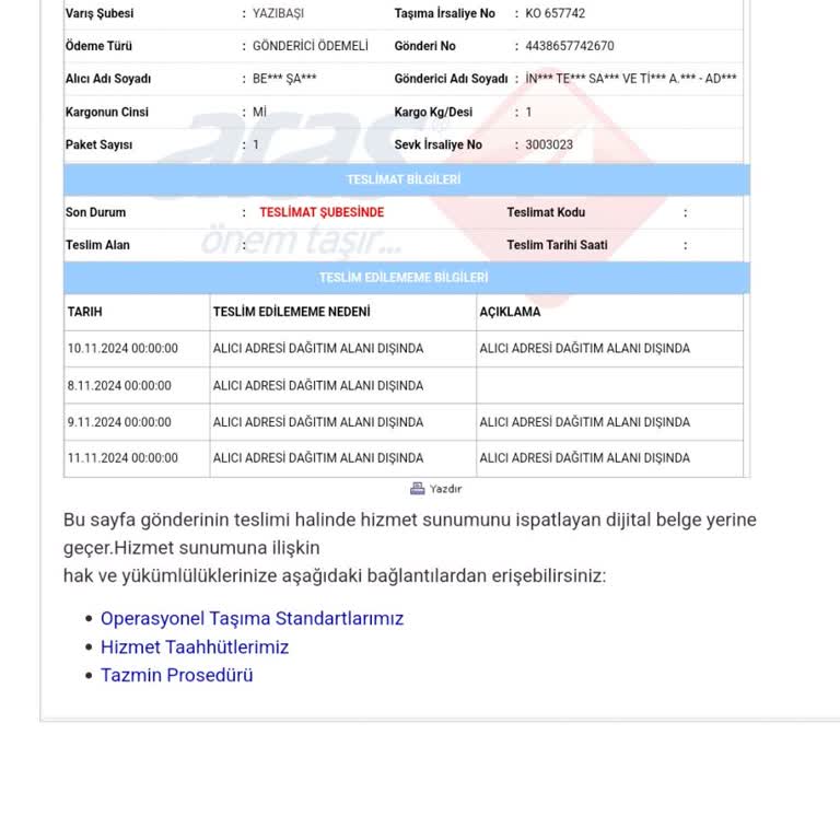 Kayıp Kargo Mağduriyeti: Ürün Teslim Edilemiyor