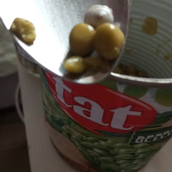 Tat Konserveden Salyangoz Çıktı