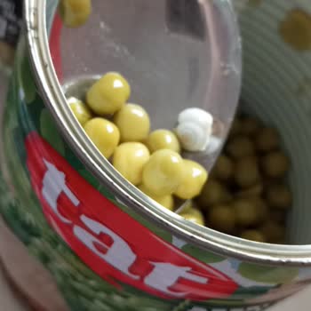 Tat Konserveden Salyangoz Çıktı