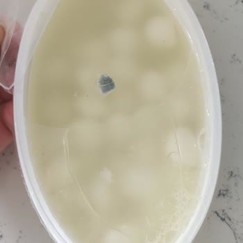 Satın Alınan Üründe Beklenmedik Küf Sorunu