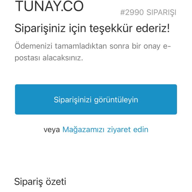 Geciken Web Sitesi Teslimatı Hakkında Şikayet
