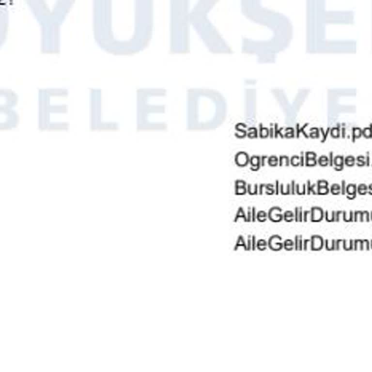 Başvuru Belgeleri Güncelleme Sorunu