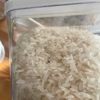 Böcekli Pirinç Şoku: Gönen Baldo Hayal Kırıklığı