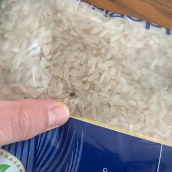 Böcekli Pirinç Şoku: Gönen Baldo Hayal Kırıklığı