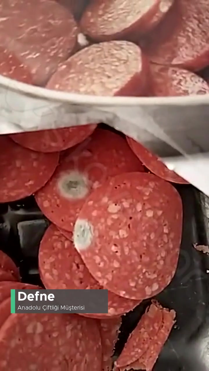 Anadolu Çiftliği Tarihi Geçmeyen Sucuk Bozulması! videonun kapak resmi