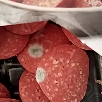 Anadolu Çiftliği Tarihi Geçmeyen Sucuk Bozulması!