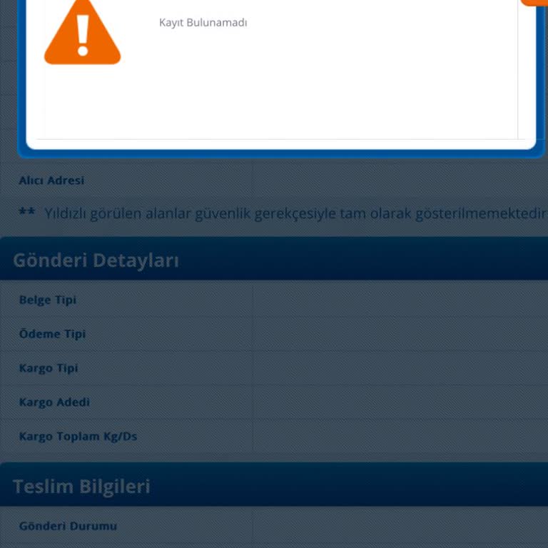 Kayıp Kargo Takip Sorunu