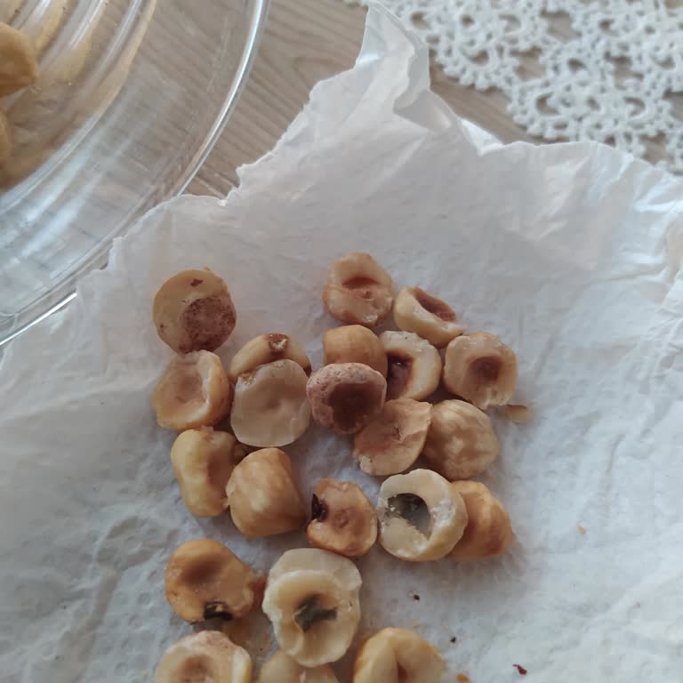 Bozuk Fındık İçin İade Sorunu: TMO Kayseri Şubesi