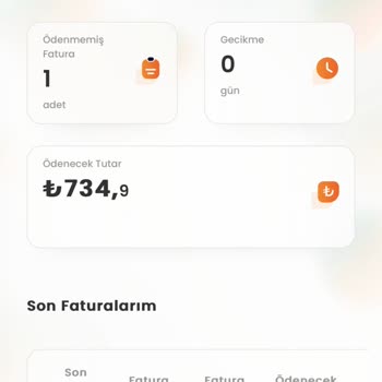 Yanıltıcı Fiyatlandırma Ve Taahhüt Sorunu