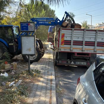 Orman Kıyımı Ve Tehdit İddiaları
