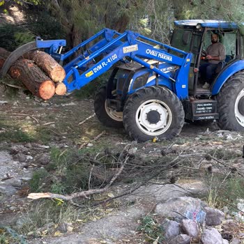 Orman Kıyımı Ve Tehdit İddiaları