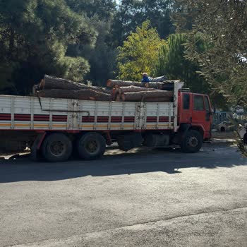 Orman Kıyımı Ve Tehdit İddiaları