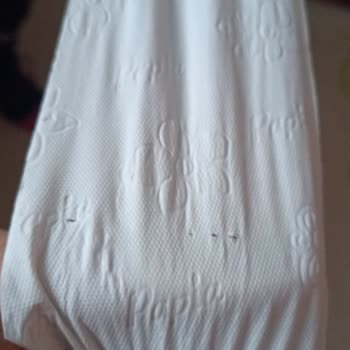 Papia Tuvalet Kağıdı Kopma Sorunu