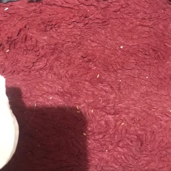 Yanlış Teşhis Ve Hatalı Tedavi İle Kedimin Sağlığı Tehlikeye Atıldı