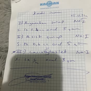 Yanlış Teşhis Ve Hatalı Tedavi İle Kedimin Sağlığı Tehlikeye Atıldı