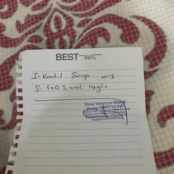 Yanlış Teşhis Ve Hatalı Tedavi İle Kedimin Sağlığı Tehlikeye Atıldı