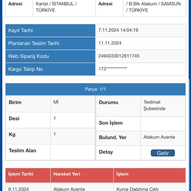 Kayıp Kargonun İzinde: Bilgi Alamıyorum!
