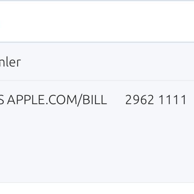Apple Üzerinden Duolingo Üyelik İadesi Sorunu