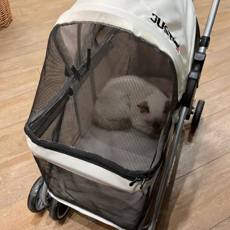 Starbucks Refused Entry Because of My Cats in a Covered Pet Stroller