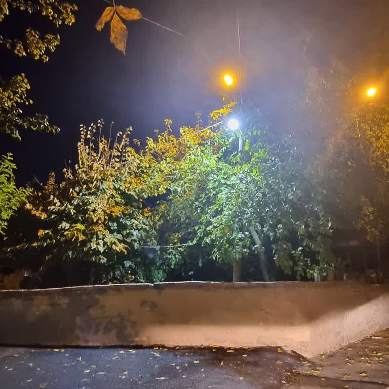 Sokak Lambası Uykumuzu Kaçırıyor!