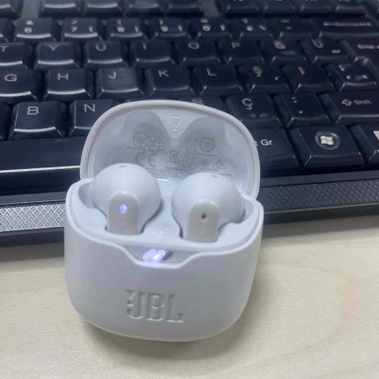 JBL Tune Flex Kulaklık Şarj Sorunu