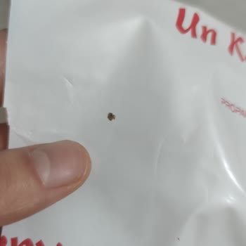 Dr. Oetker Trileçe Ununda Şok Eden Durum