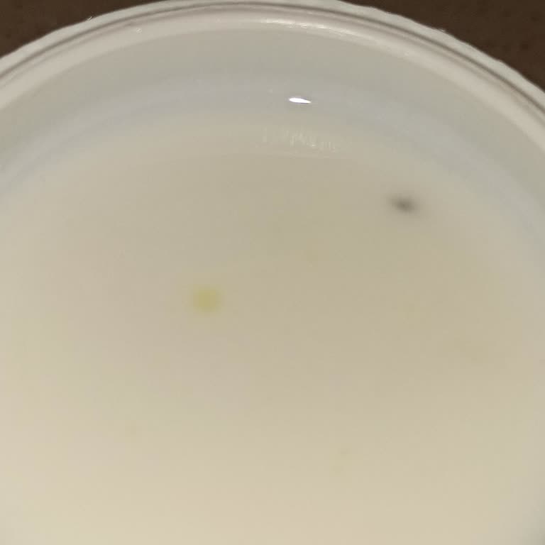 Ayran İçinden Çıkan Şaşırtıcı Cisimler
