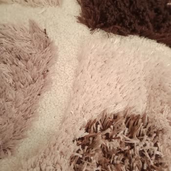 Saygısız Hizmet Ve Kirli Halı Sorunu