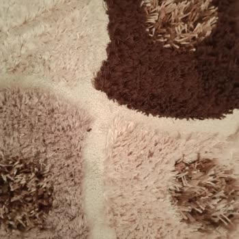 Saygısız Hizmet Ve Kirli Halı Sorunu