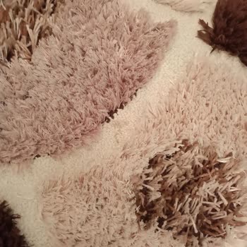 Saygısız Hizmet Ve Kirli Halı Sorunu