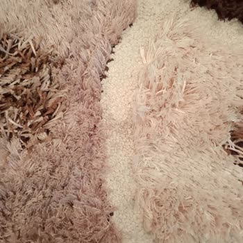 Saygısız Hizmet Ve Kirli Halı Sorunu