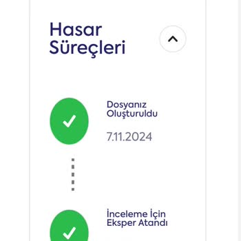 Ray Sigorta İle İkame Araç Ve Ekspertiz Sorunları!