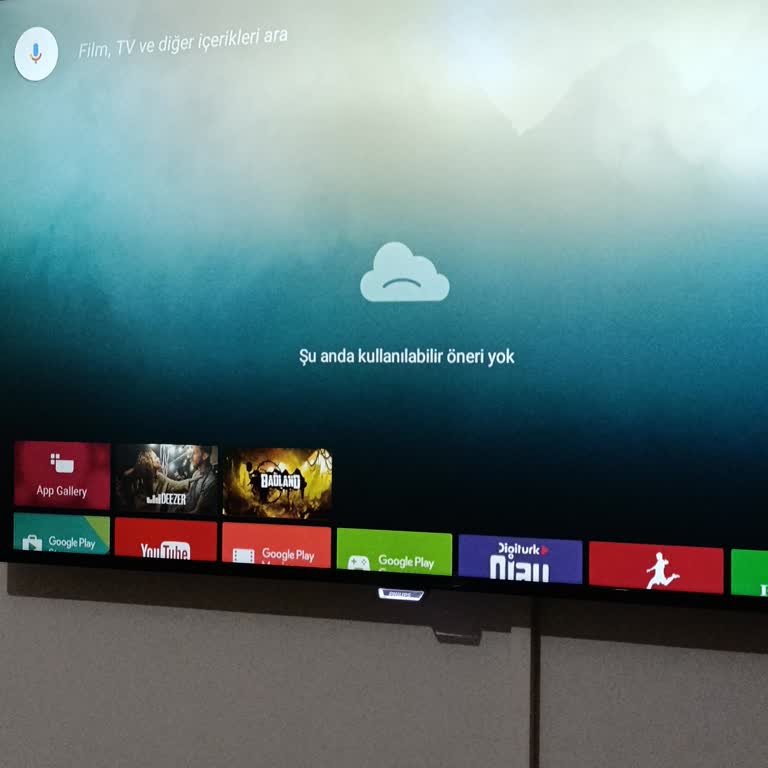 Philips Televizyonda Google Play Erişim Sorunu