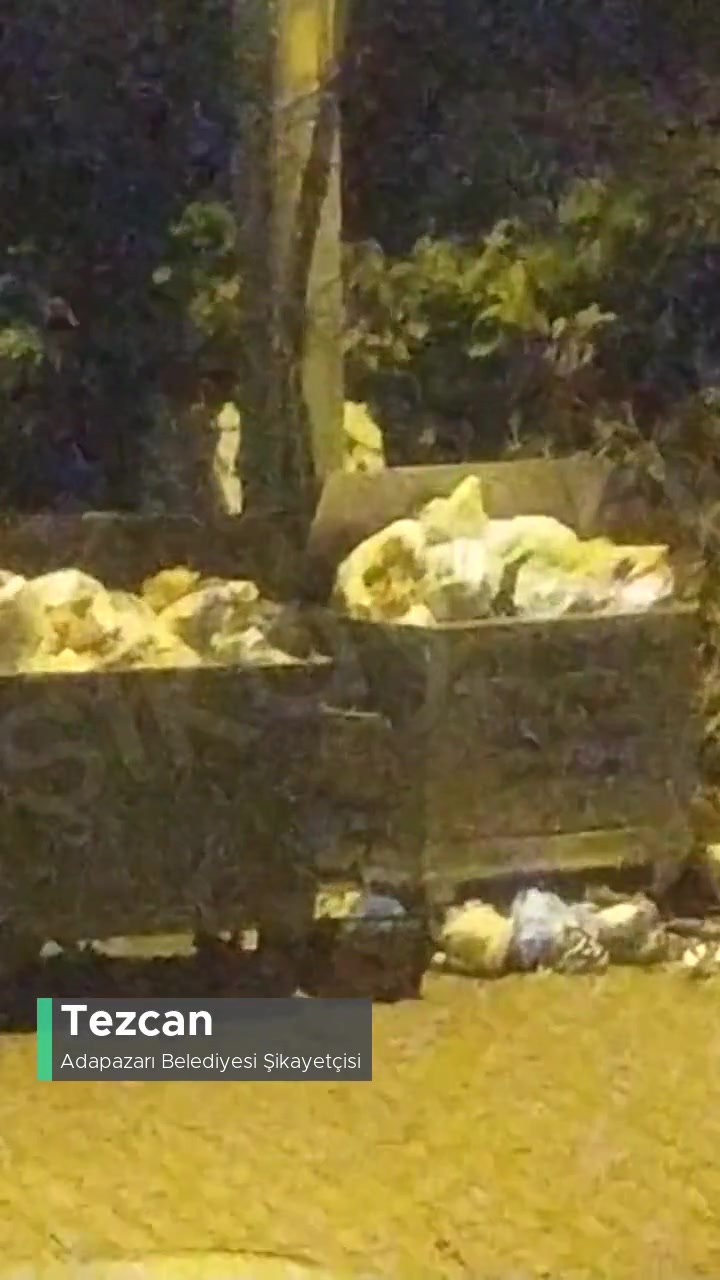Adapazarı Belediyesi Çöp Ve Dallar Alınmıyor! videonun kapak resmi