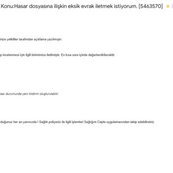 Pet Sigortasında Evrak Karmaşası Ve Gecikme