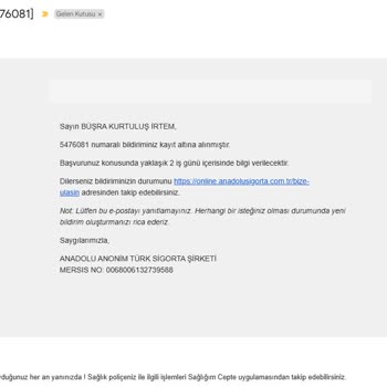 Pet Sigortasında Evrak Karmaşası Ve Gecikme