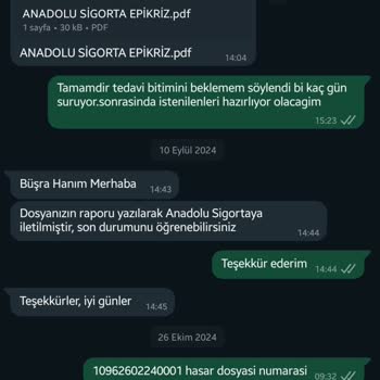 Pet Sigortasında Evrak Karmaşası Ve Gecikme