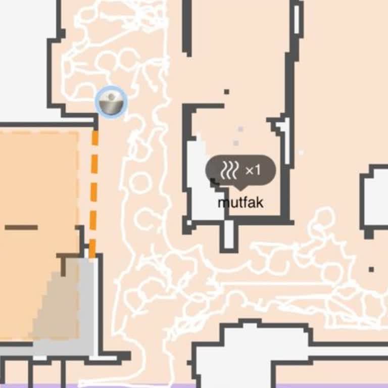 Servis Çıkmazı: Robot Süpürge Mağduriyeti