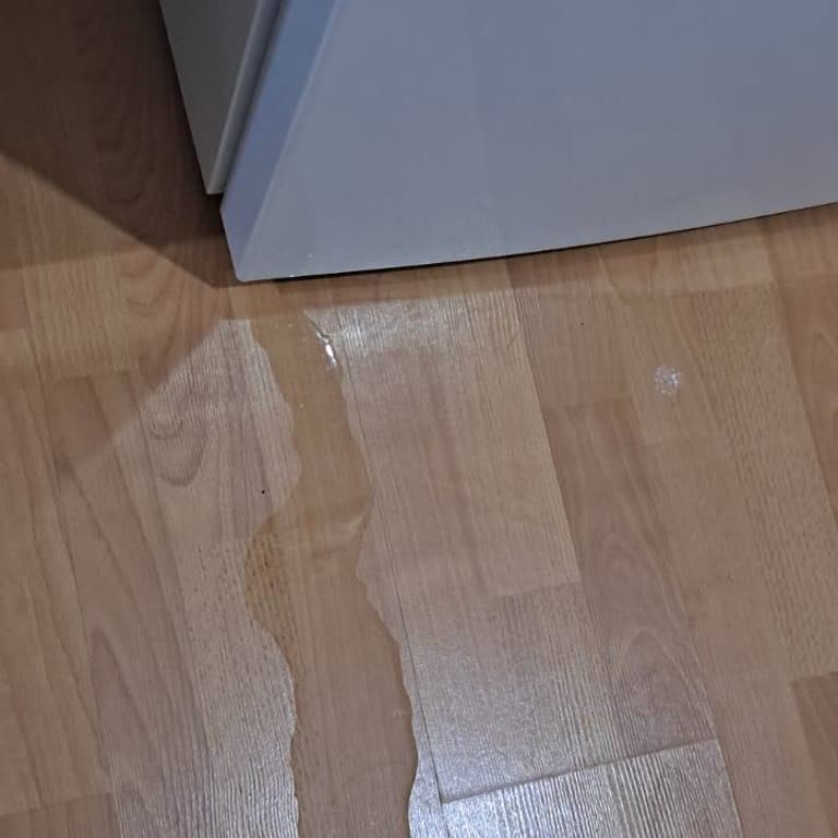 Arçelik Buzdolabında Çözülemeyen Su Sızıntısı Sorunu