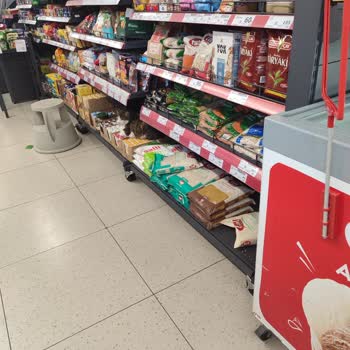 A101 Denetimsiz Mağaza Ve Yetersiz Personel Sorunu